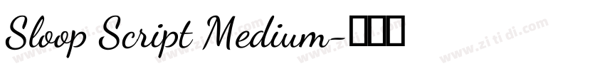 Sloop Script Medium字体转换